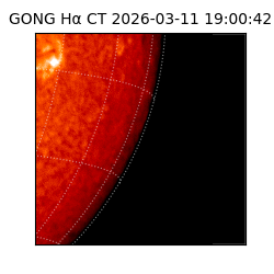 gong - 2026-03-11T19:00:42