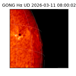 gong - 2026-03-11T08:00:02