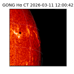 gong - 2026-03-11T12:00:42