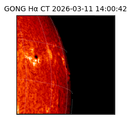 gong - 2026-03-11T14:00:42