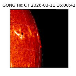 gong - 2026-03-11T16:00:42