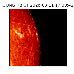 gong - 2026-03-11T17:00:42