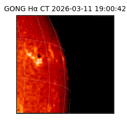 gong - 2026-03-11T19:00:42