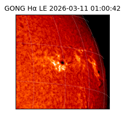 gong - 2026-03-11T01:00:42