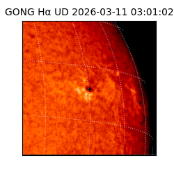 gong - 2026-03-11T03:01:02