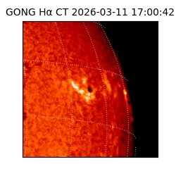 gong - 2026-03-11T17:00:42