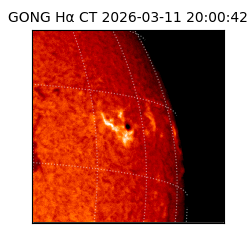 gong - 2026-03-11T20:00:42