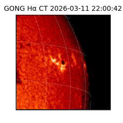 gong - 2026-03-11T22:00:42
