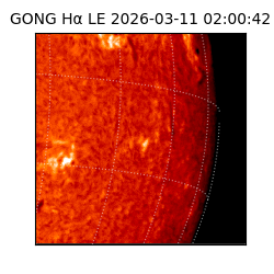 gong - 2026-03-11T02:00:42