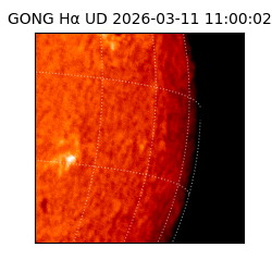 gong - 2026-03-11T11:00:02