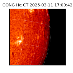 gong - 2026-03-11T17:00:42