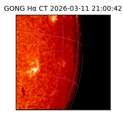 gong - 2026-03-11T21:00:42