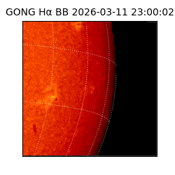 gong - 2026-03-11T23:00:02