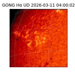 gong - 2026-03-11T04:00:02