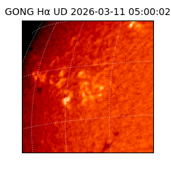 gong - 2026-03-11T05:00:02