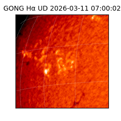 gong - 2026-03-11T07:00:02