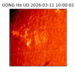 gong - 2026-03-11T10:00:02