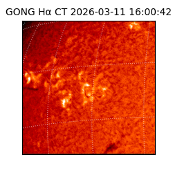 gong - 2026-03-11T16:00:42