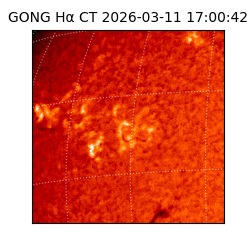 gong - 2026-03-11T17:00:42