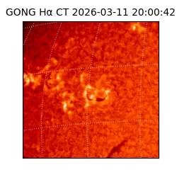 gong - 2026-03-11T20:00:42