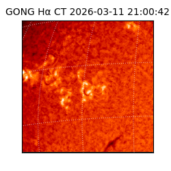 gong - 2026-03-11T21:00:42