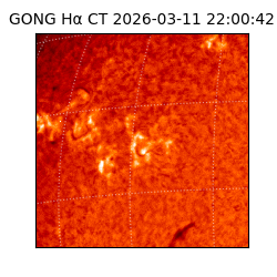 gong - 2026-03-11T22:00:42