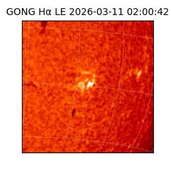 gong - 2026-03-11T02:00:42