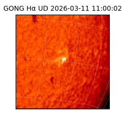 gong - 2026-03-11T11:00:02
