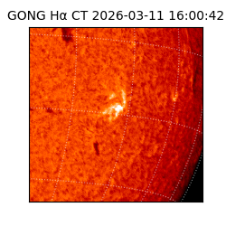 gong - 2026-03-11T16:00:42