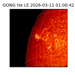 gong - 2026-03-11T01:00:42