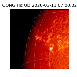 gong - 2026-03-11T07:00:02