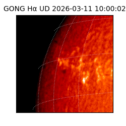 gong - 2026-03-11T10:00:02