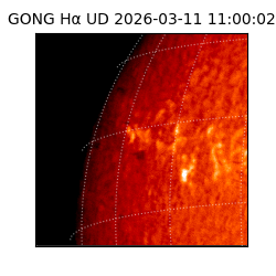 gong - 2026-03-11T11:00:02