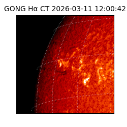 gong - 2026-03-11T12:00:42