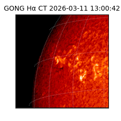 gong - 2026-03-11T13:00:42