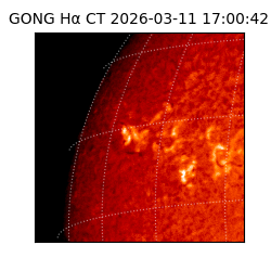 gong - 2026-03-11T17:00:42