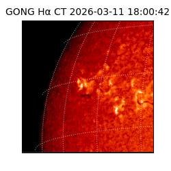 gong - 2026-03-11T18:00:42