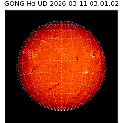 gong - 2026-03-11T03:01:02