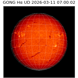 gong - 2026-03-11T07:00:02