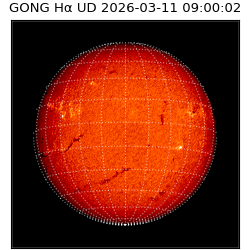 gong - 2026-03-11T09:00:02