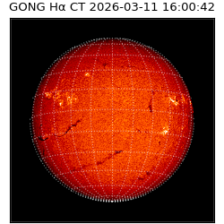 gong - 2026-03-11T16:00:42