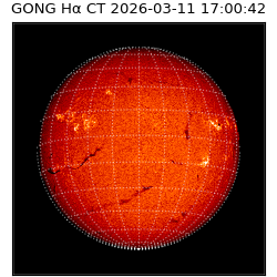 gong - 2026-03-11T17:00:42