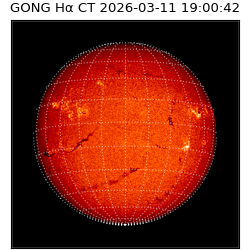 gong - 2026-03-11T19:00:42