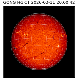 gong - 2026-03-11T20:00:42