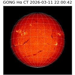 gong - 2026-03-11T22:00:42
