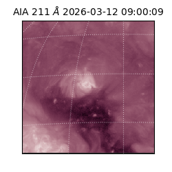 saia - 2026-03-12T09:00:09.623000