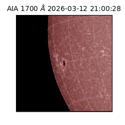 saia - 2026-03-12T21:00:28.446000