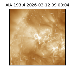 saia - 2026-03-12T09:00:04.842000