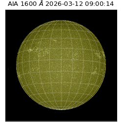 saia - 2026-03-12T09:00:14.124000