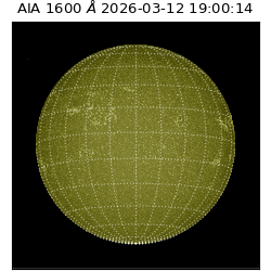 saia - 2026-03-12T19:00:14.123000